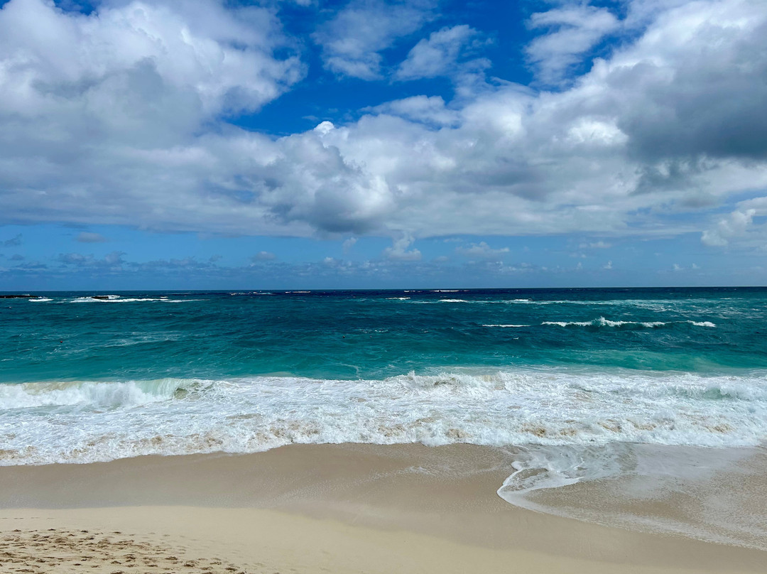 里乌宫殿天堂岛酒店 - 限成人- 全包主图