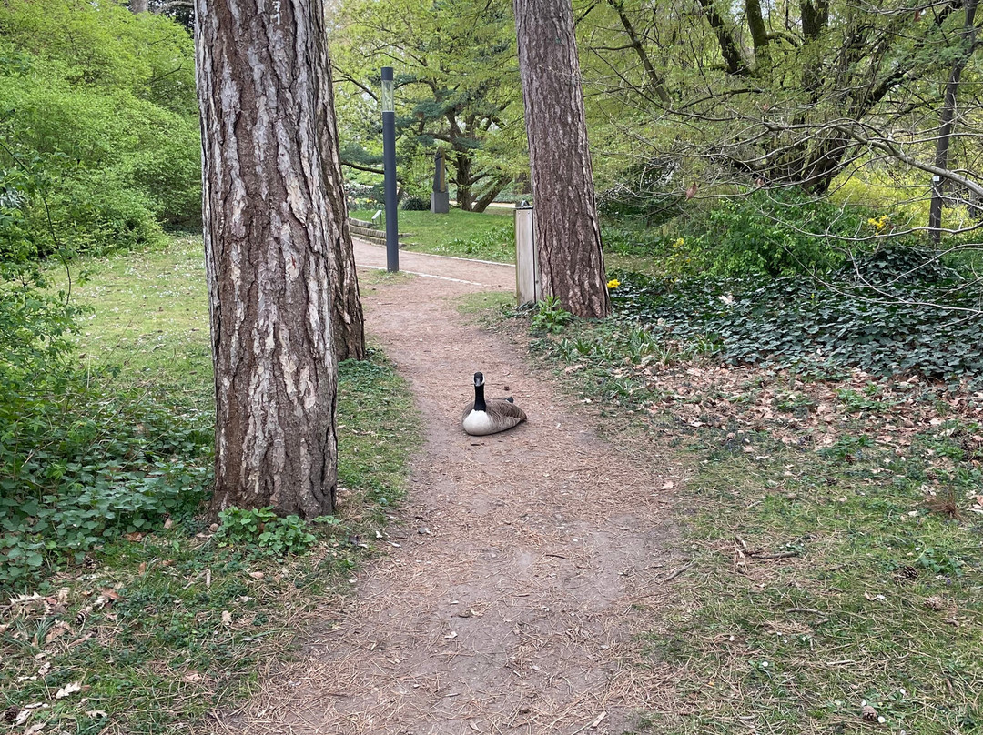 棕榈树公园-法兰克福必去景点