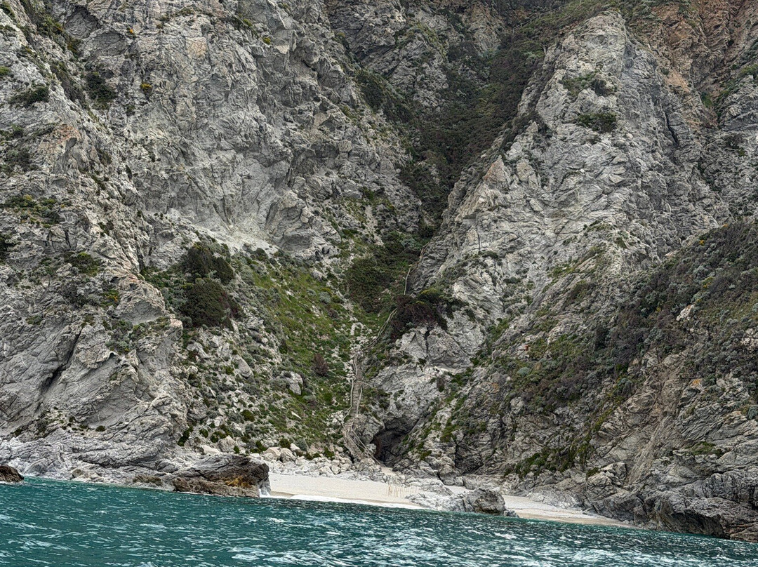 Noleggio Nautico Shark Bay-Parghelia必去景点