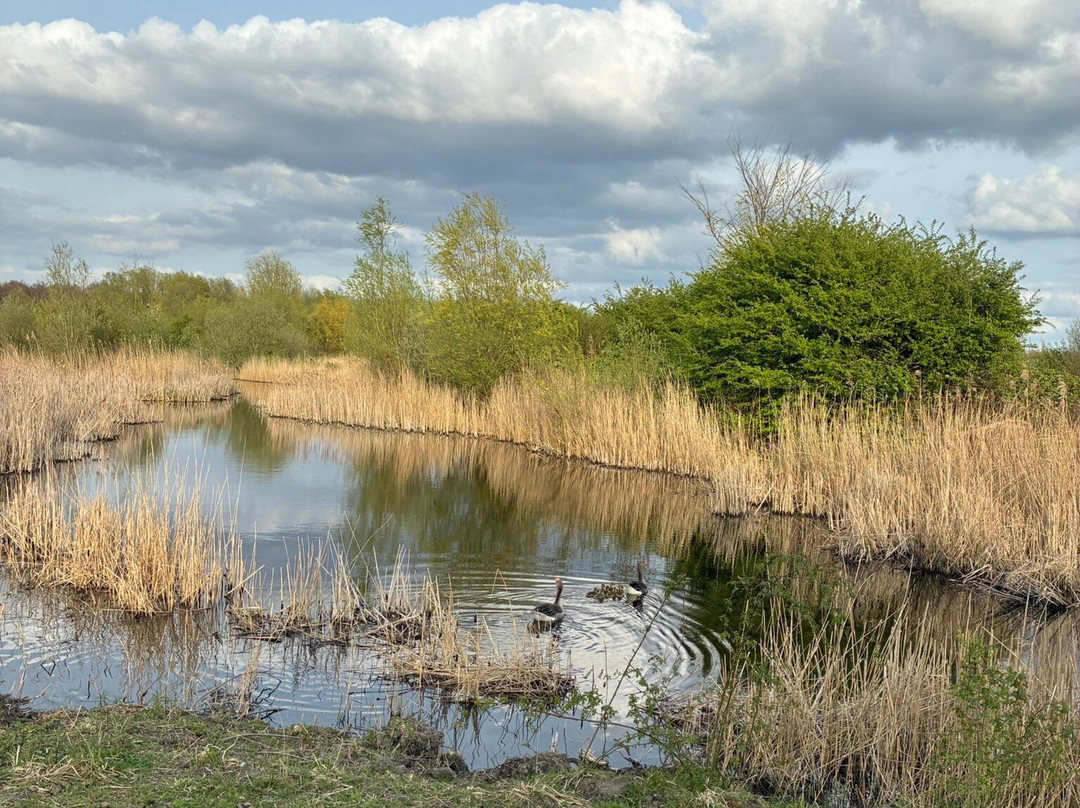 Schinkelbos-Aalsmeer必去景点