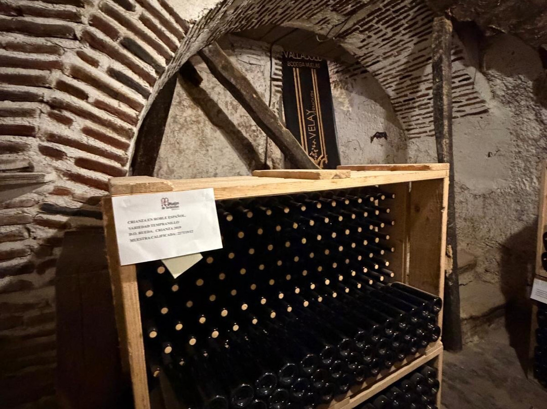 Bodega Muelas-Tordesillas必去景点