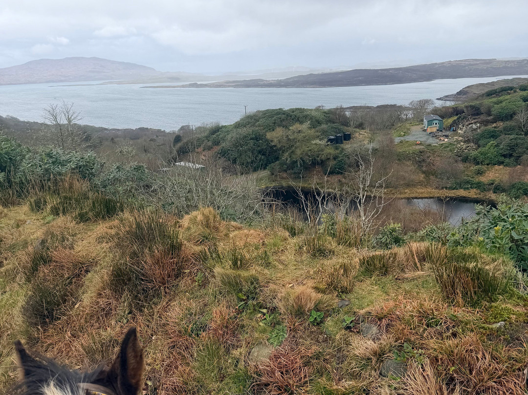 Lunga Riding Stables-Lochgilphead必去景点