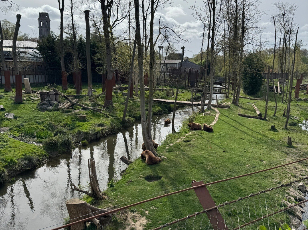 Pairi Daiza-Brugelette必去景点