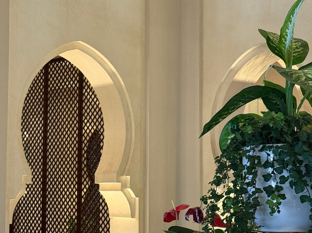 阿吉曼萨雷豪华精选度假村主图