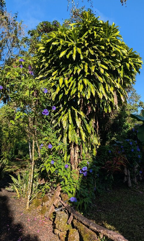 塞米拉维尔德精品酒店主图