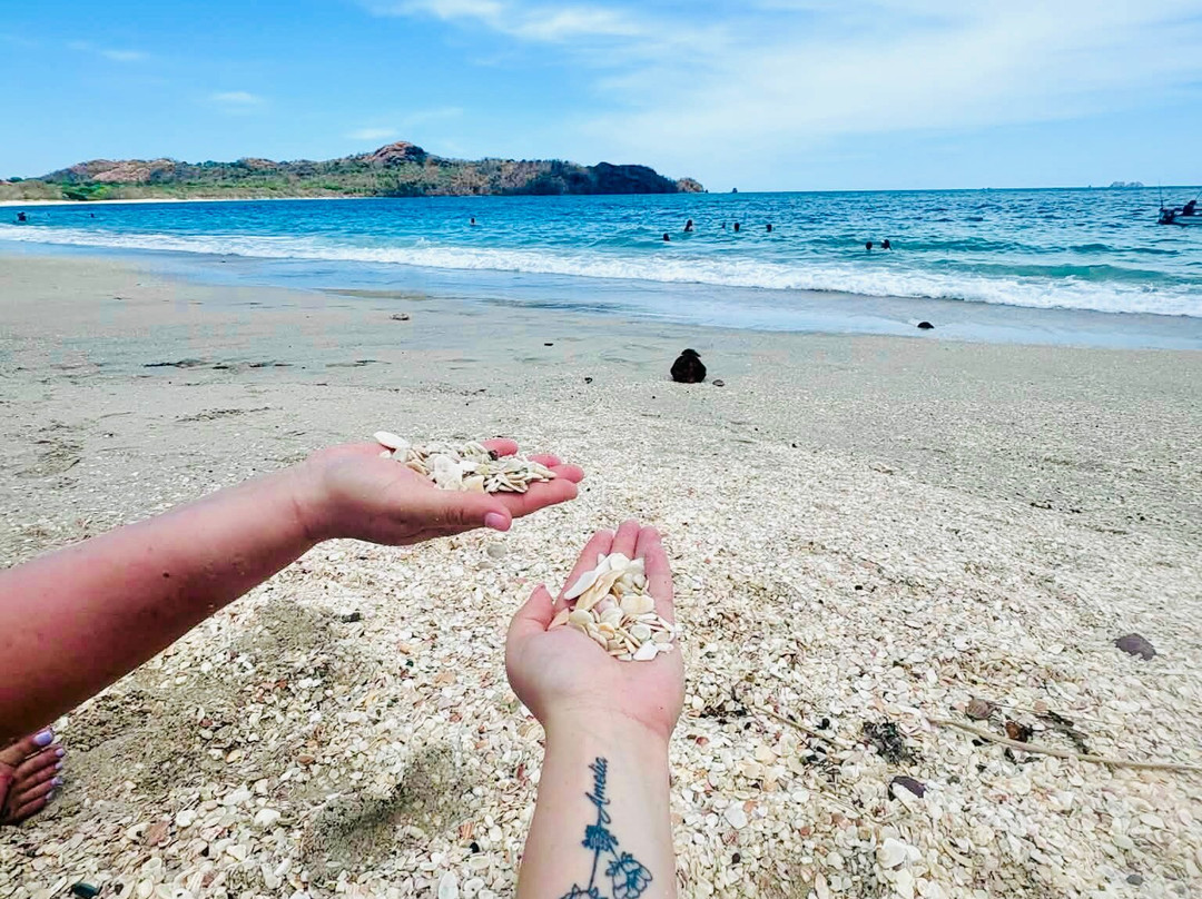 Costa Rica Unique Transfers and Tours-利比里亚必去景点