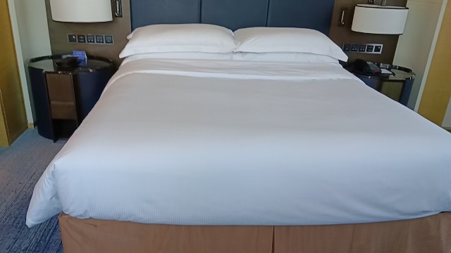 济南绿发希尔顿酒店及公寓-旅行者