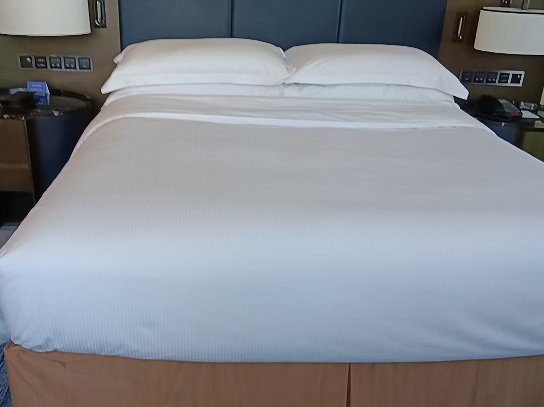 济南绿发希尔顿酒店及公寓主图