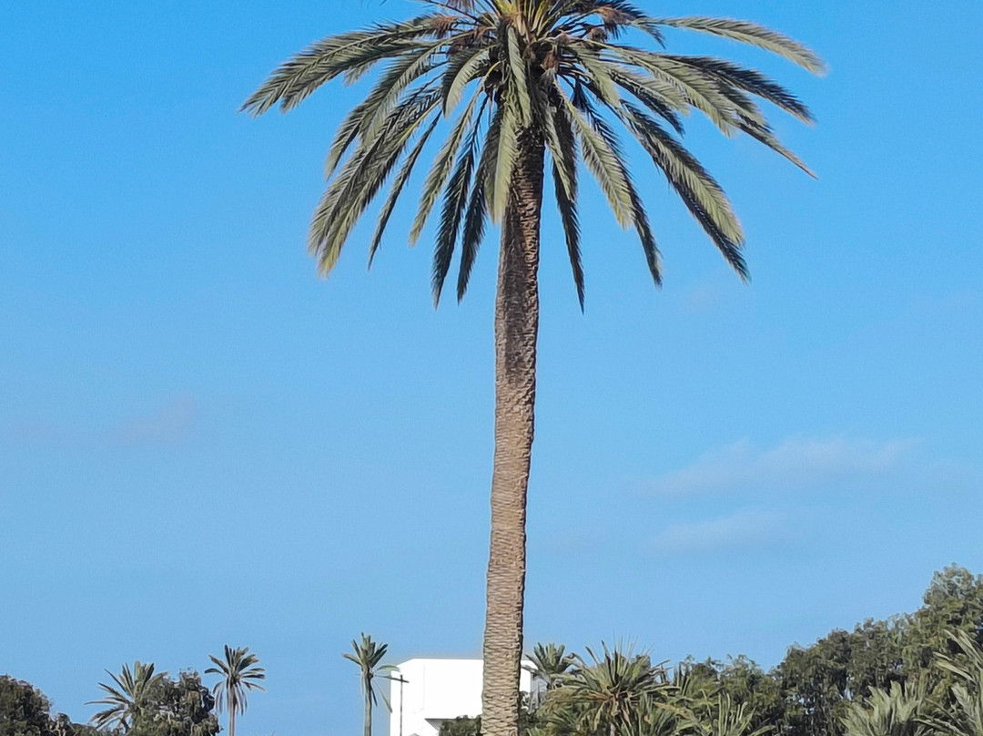 Ranch Adada Djerba-阿基尔必去景点