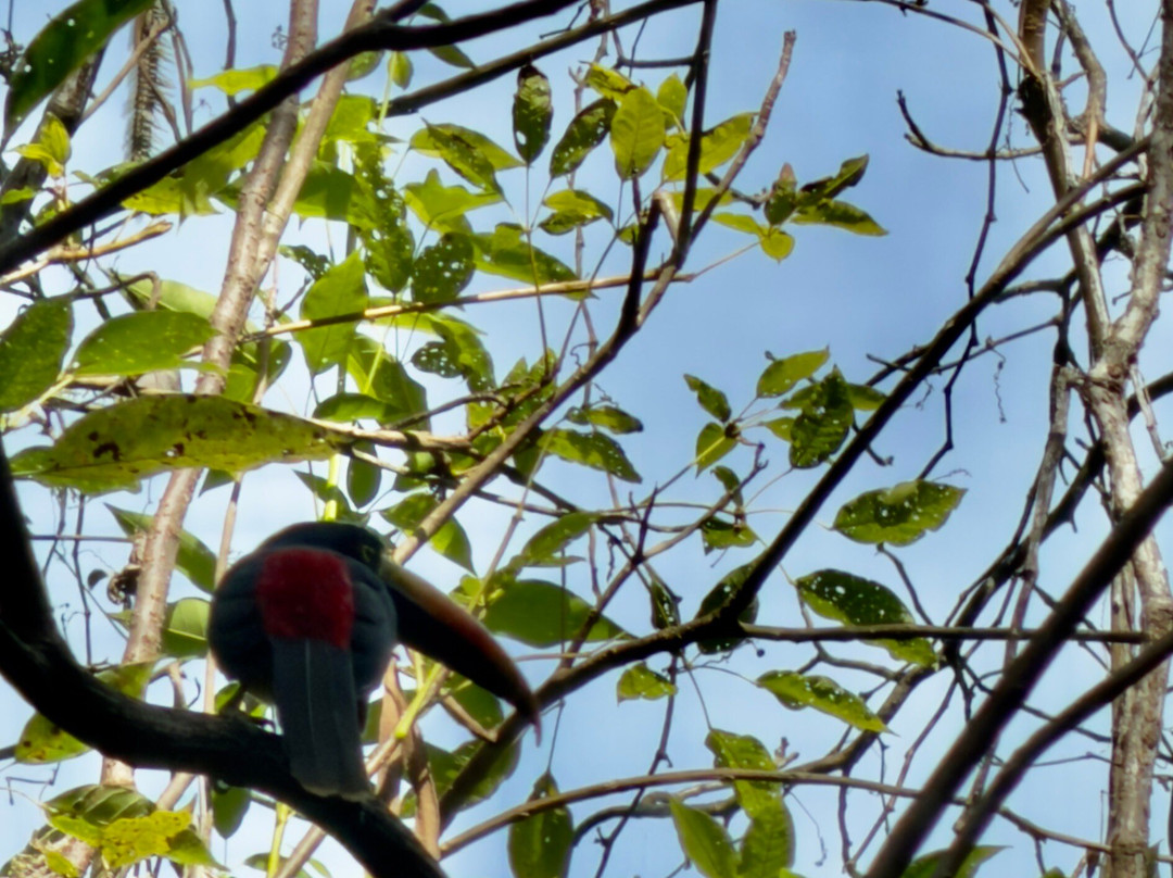 帕拉多自然度假村和温泉主图