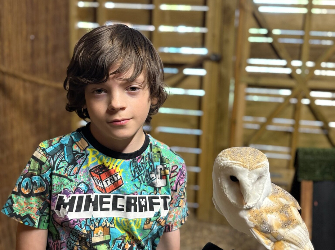 Willow's Birds of Prey - Hobbledown Adventure Farm Park and Zoo-Epsom必去景点