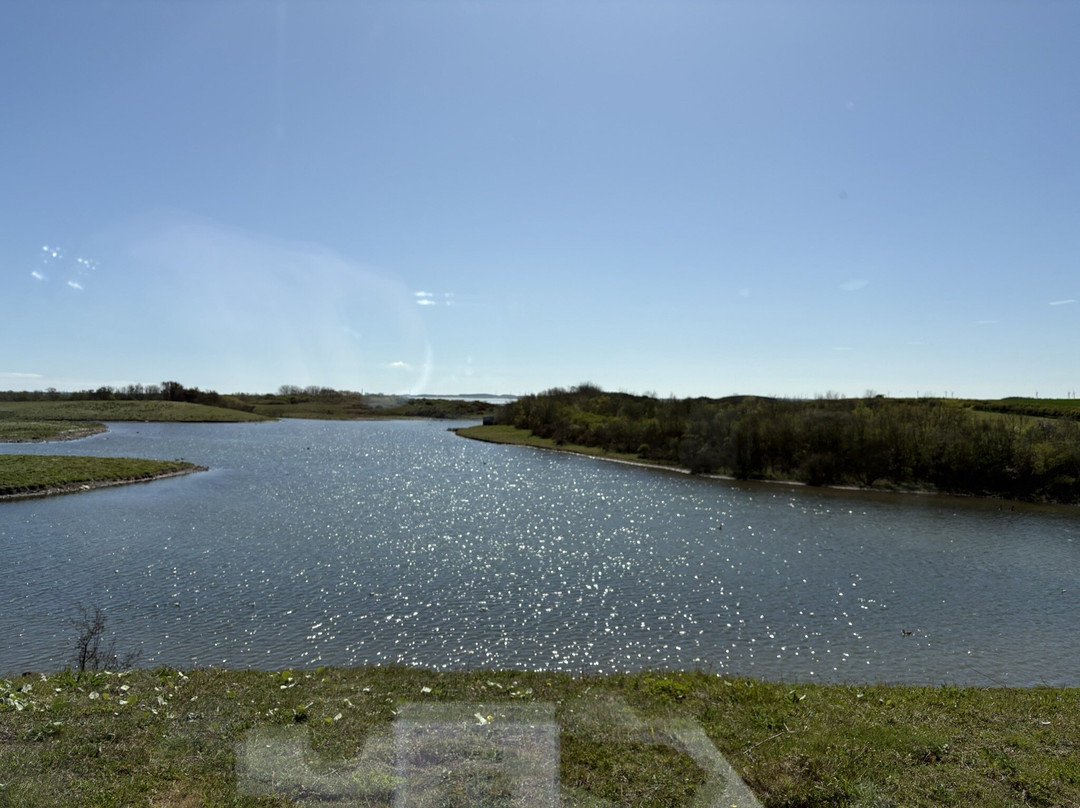 Hauxley Wildlife Discovery Centre-Amble必去景点