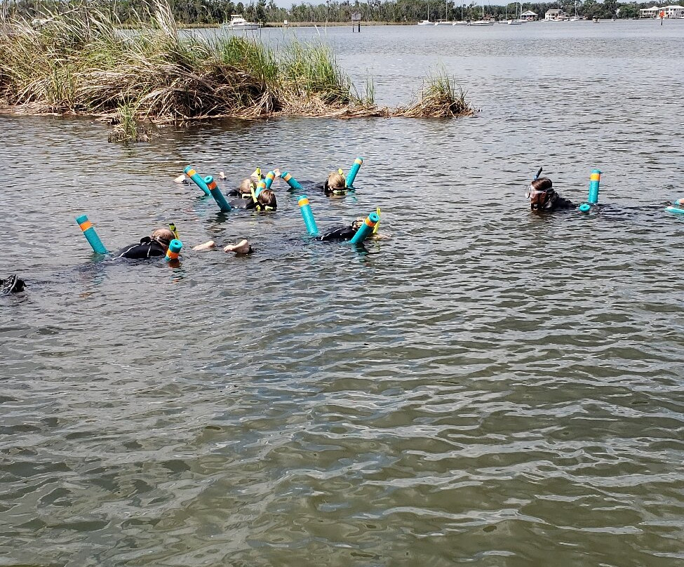 Crystal River Manatee Adventures-克里斯特尔里弗必去景点