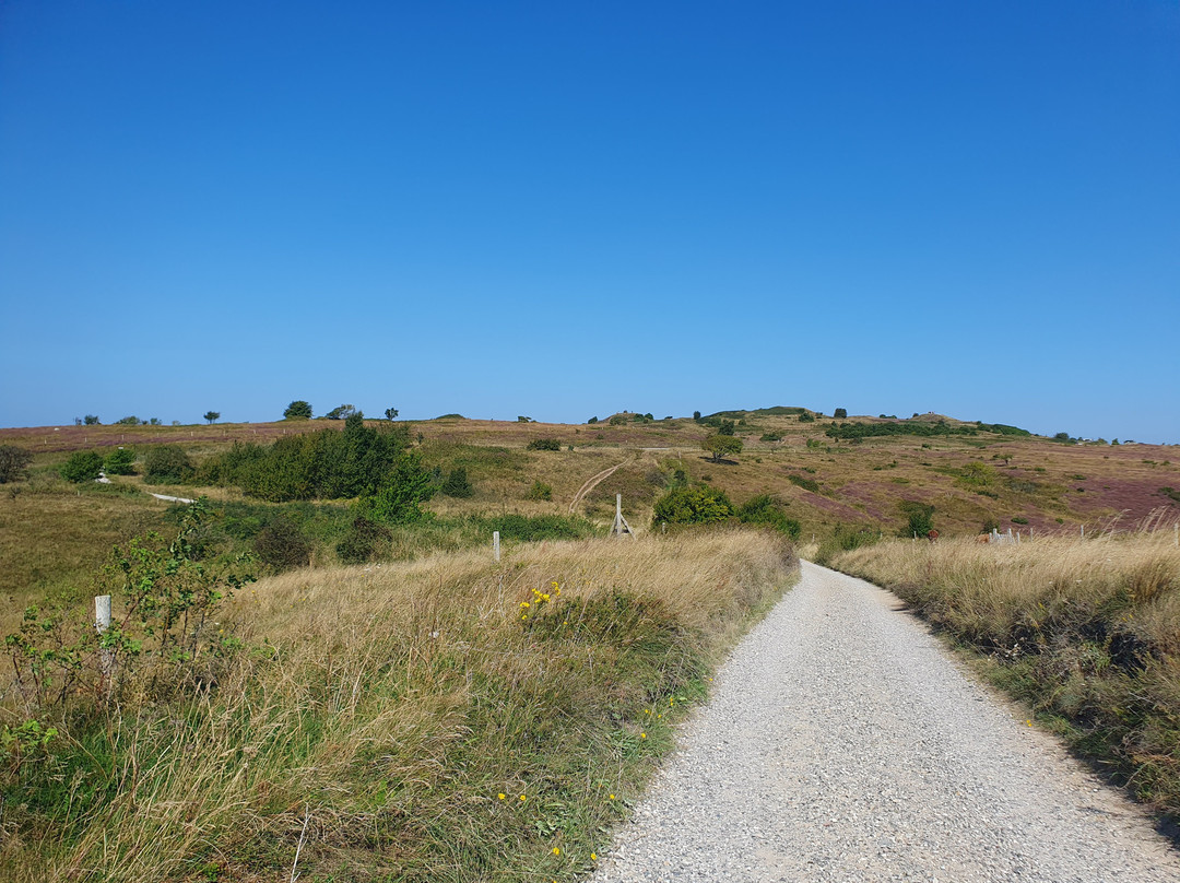 Nationalpark Mols Bjerge-Roende必去景点