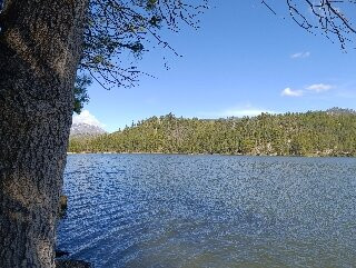 Sequoia National Park-维塞利亚必去景点
