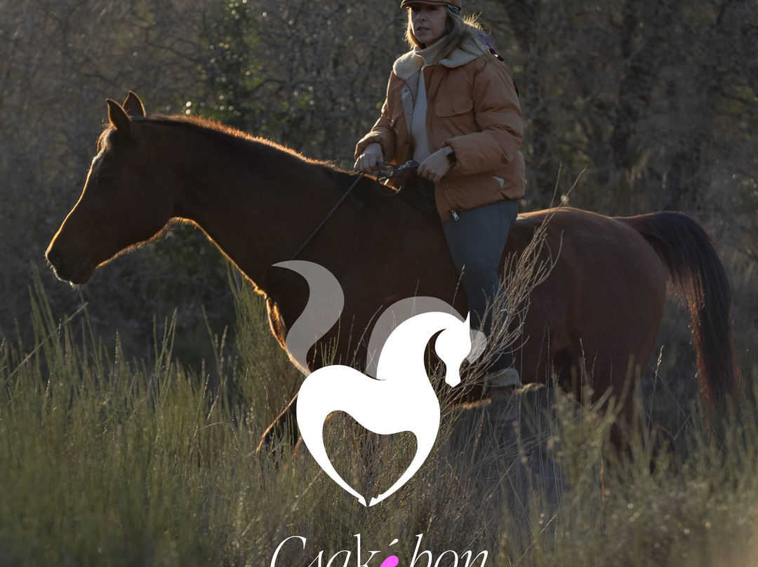 Csakébon Spirit
