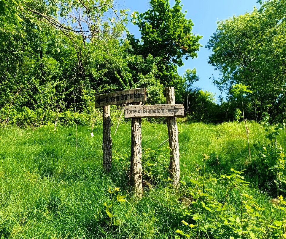 Parco Naturale della Rocca di Cavour-Cavour必去景点