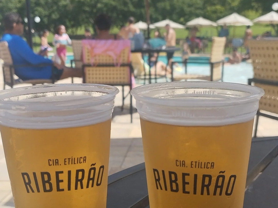 Fazenda Ribeirão Hotel De Lazer主图