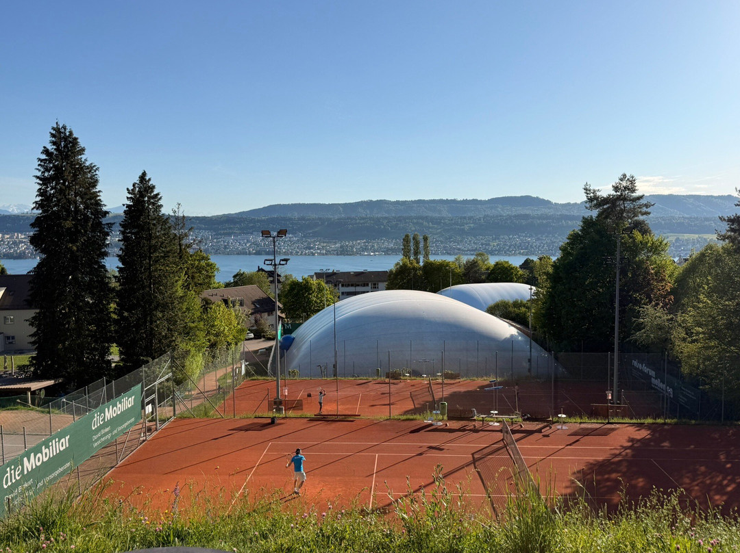 Panorama Herrliberg