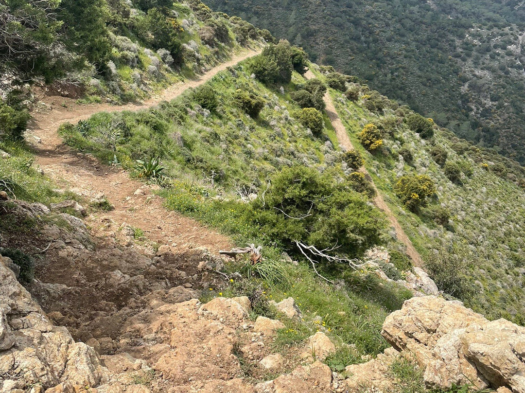 Aphrodite Trail-Latchi必去景点