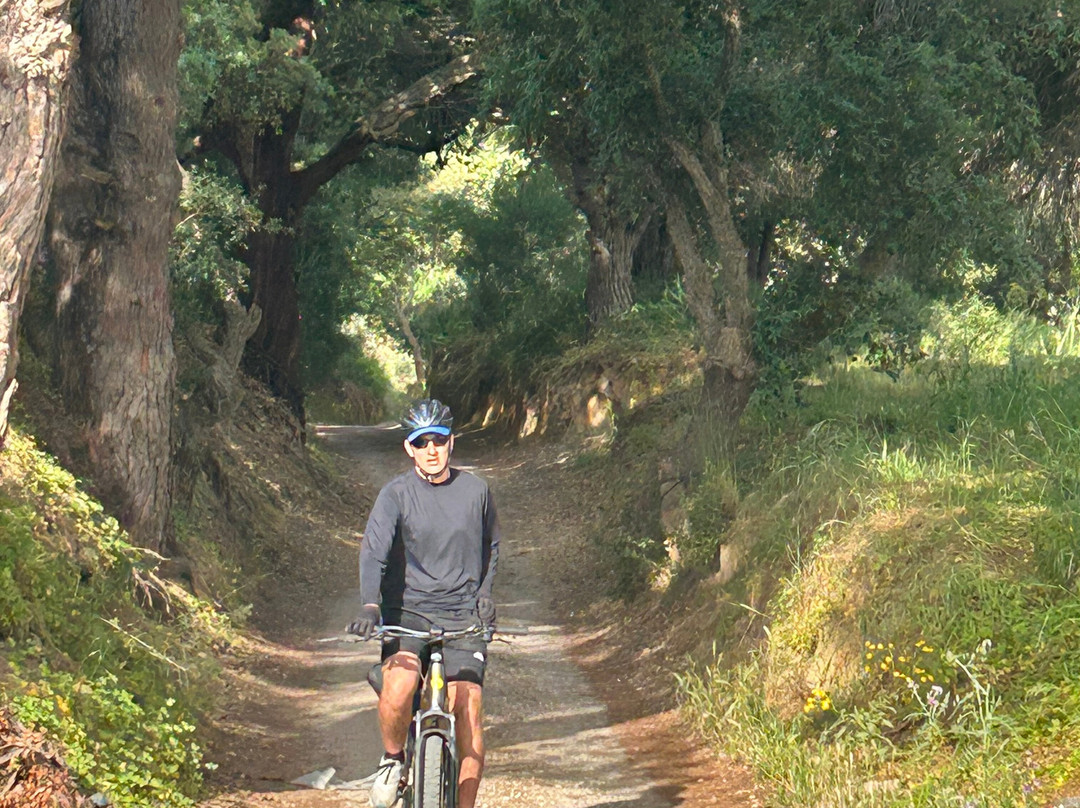 Algarve Cycling-法罗必去景点