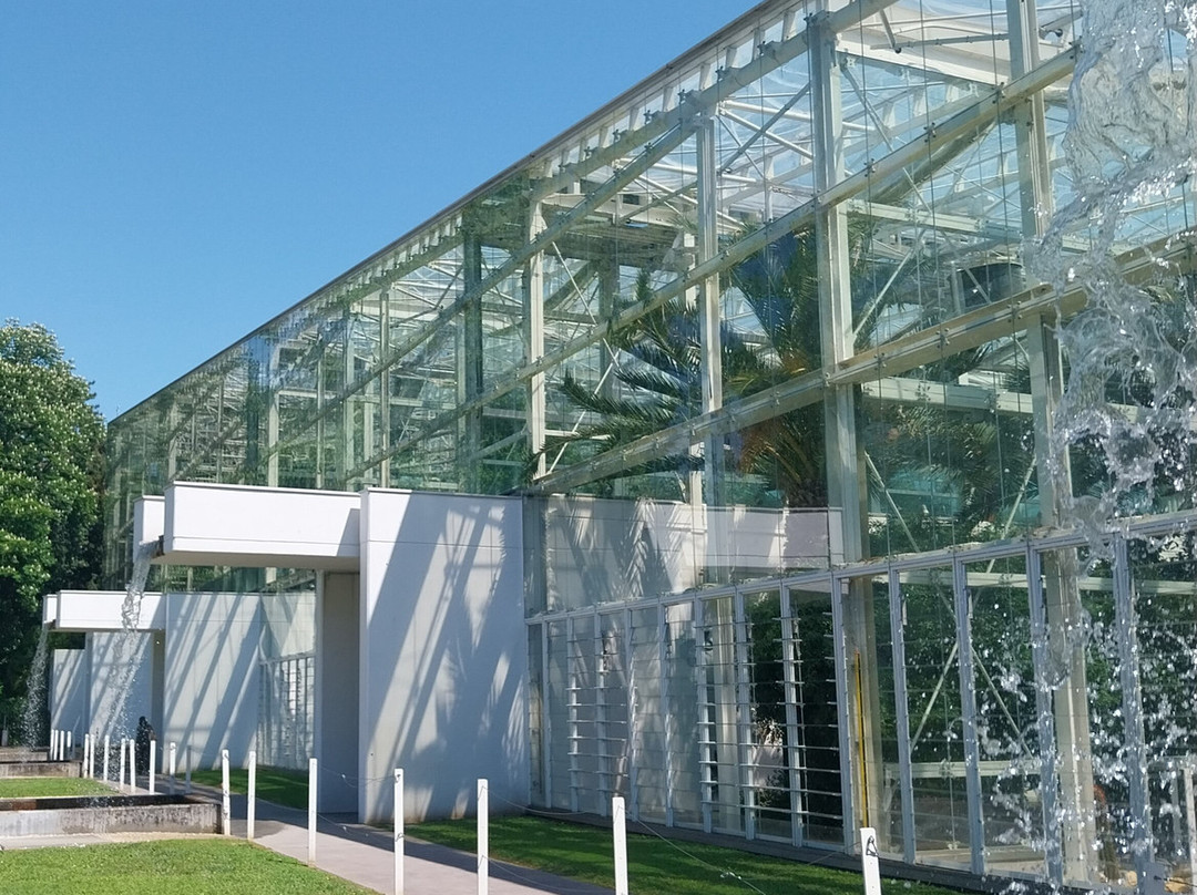 Orto Botanico 1545-帕多瓦必去景点
