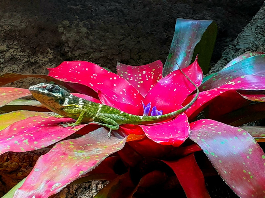 Zoo Leipzig-莱比锡必去景点
