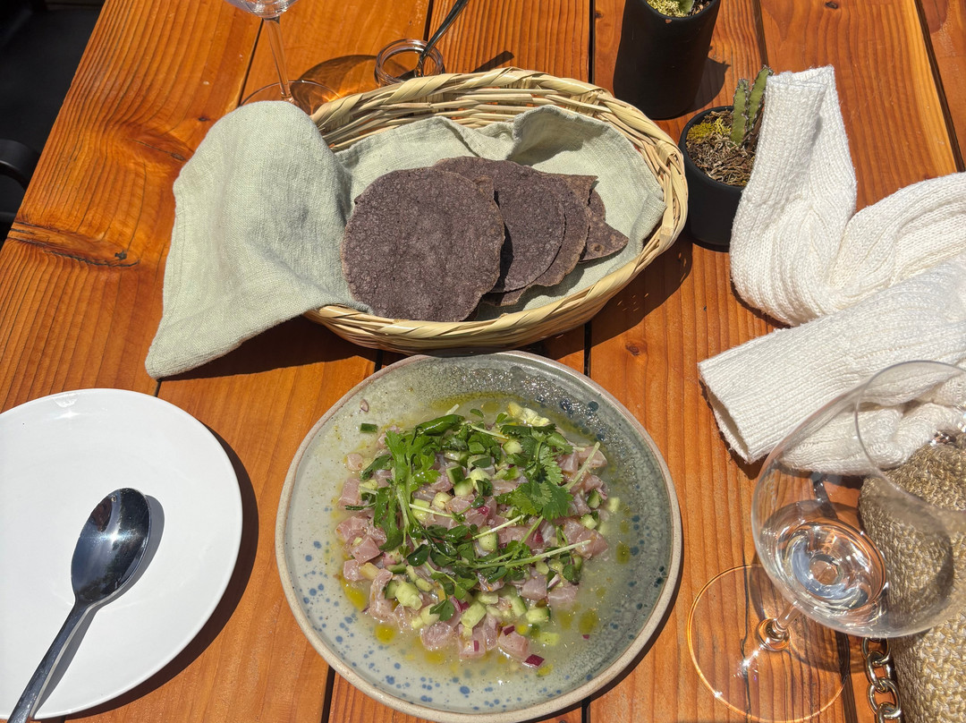 Monte Xanic Bodega Vinícola-Valle de Guadalupe必去景点