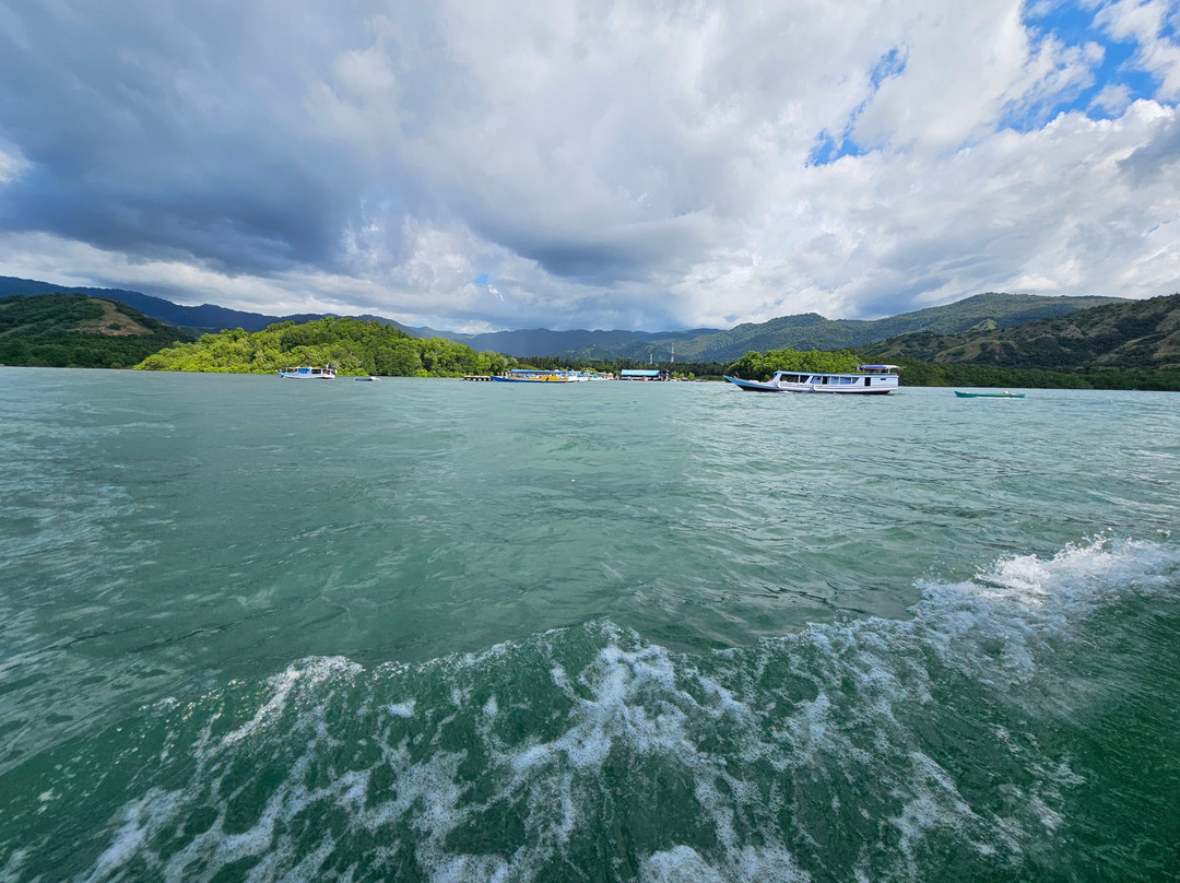 Riung boat trip organizer-Riung必去景点