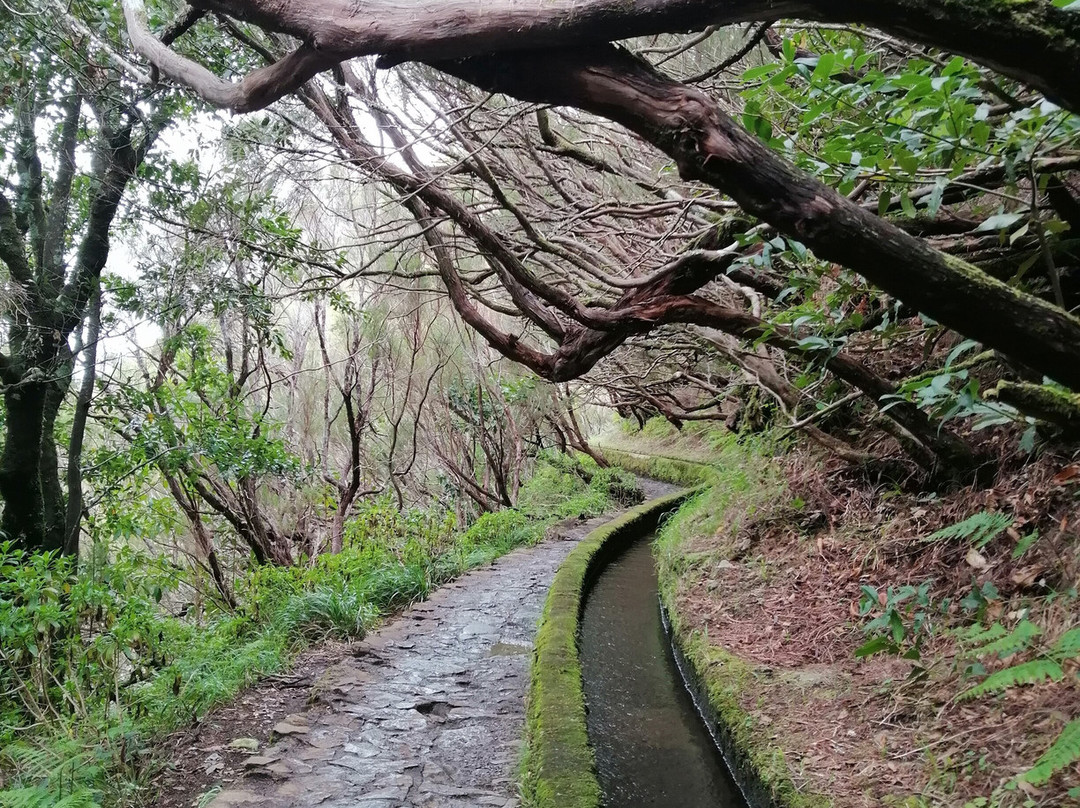 25 Fontes and Cascada da Risco-马德拉群岛必去景点