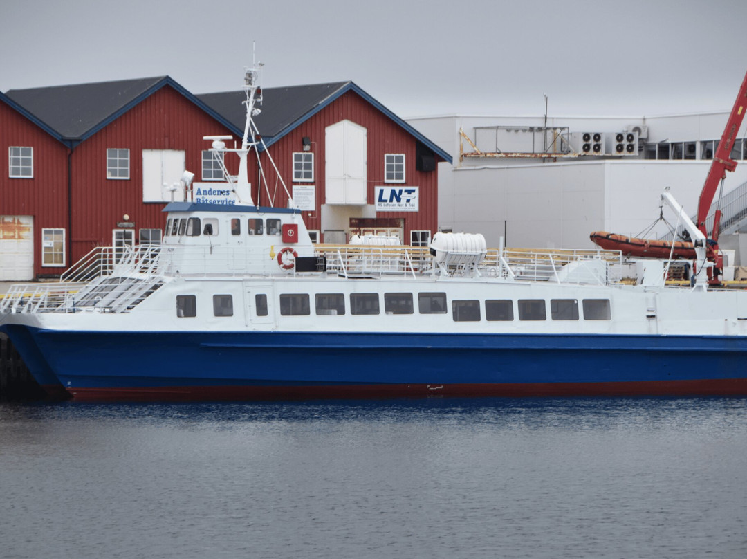 Arctic Whale Tours - Andenes-Andenes必去景点
