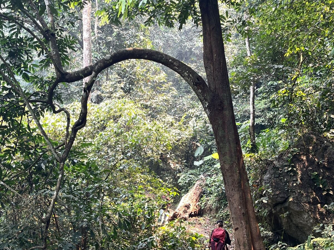 Pu Luong Eco Tours-河内必去景点