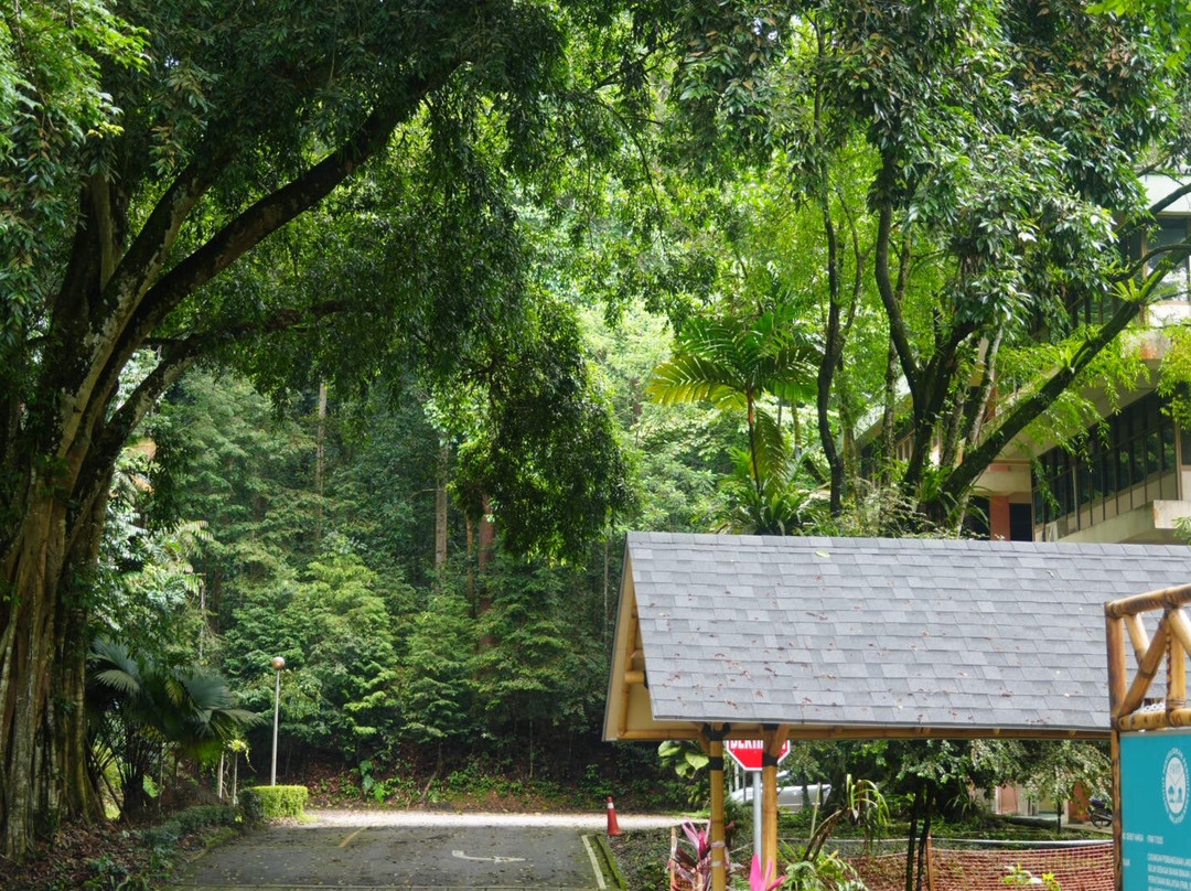 FRIM -Forest Research Institute of Malaysia-八打灵再也必去景点