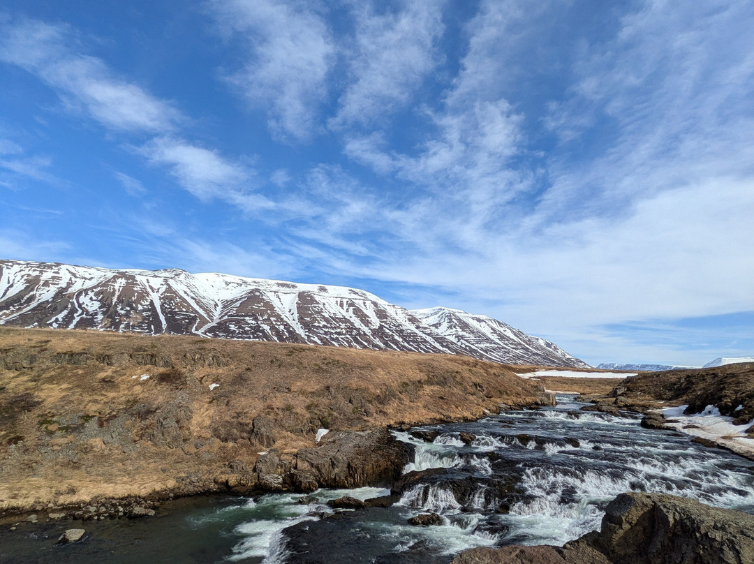 Yogihorse Iceland-Hofsos必去景点
