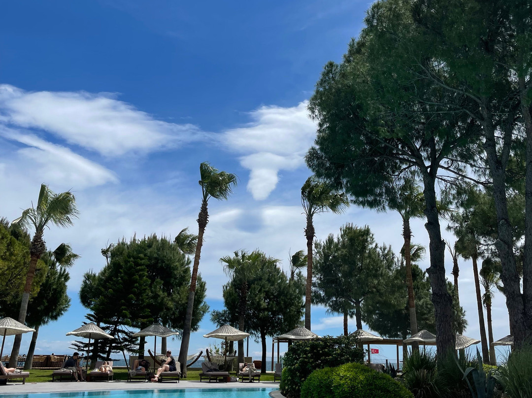 Balmy Beach度假村凯麦尔主图