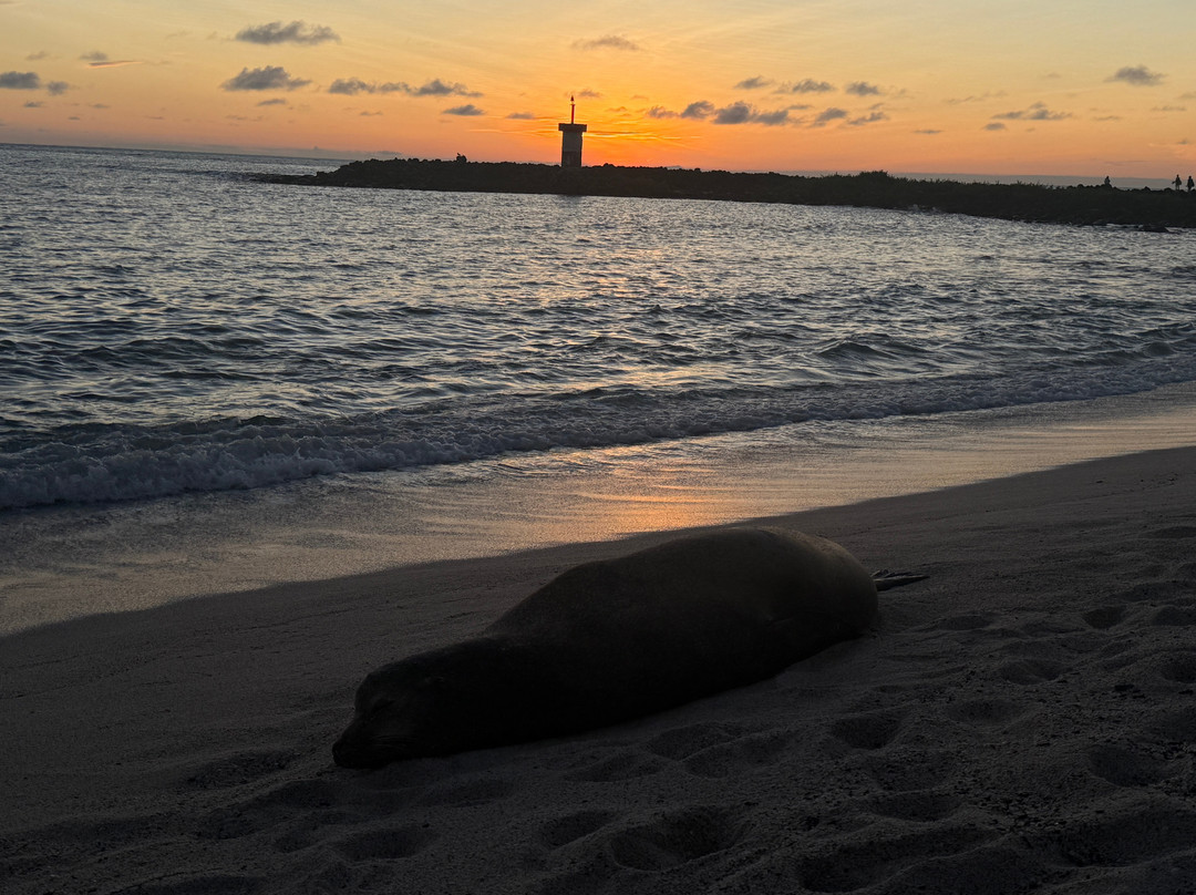 Playa Punta Carola-圣克里斯托瓦尔必去景点