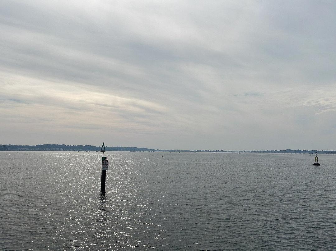 Birds Of Poole Harbour Events-普尔必去景点