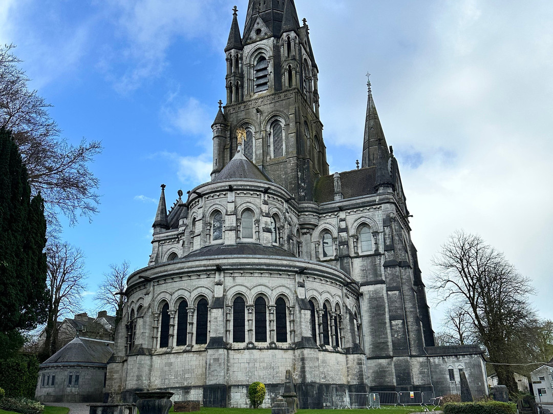 St Fin Barre's Cathedral-科克必去景点