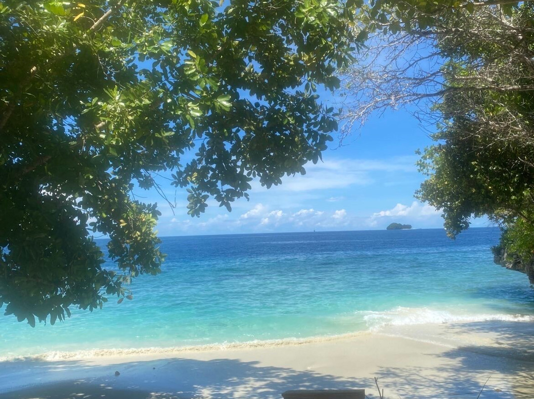 Olin Dive Center-Waisai必去景点