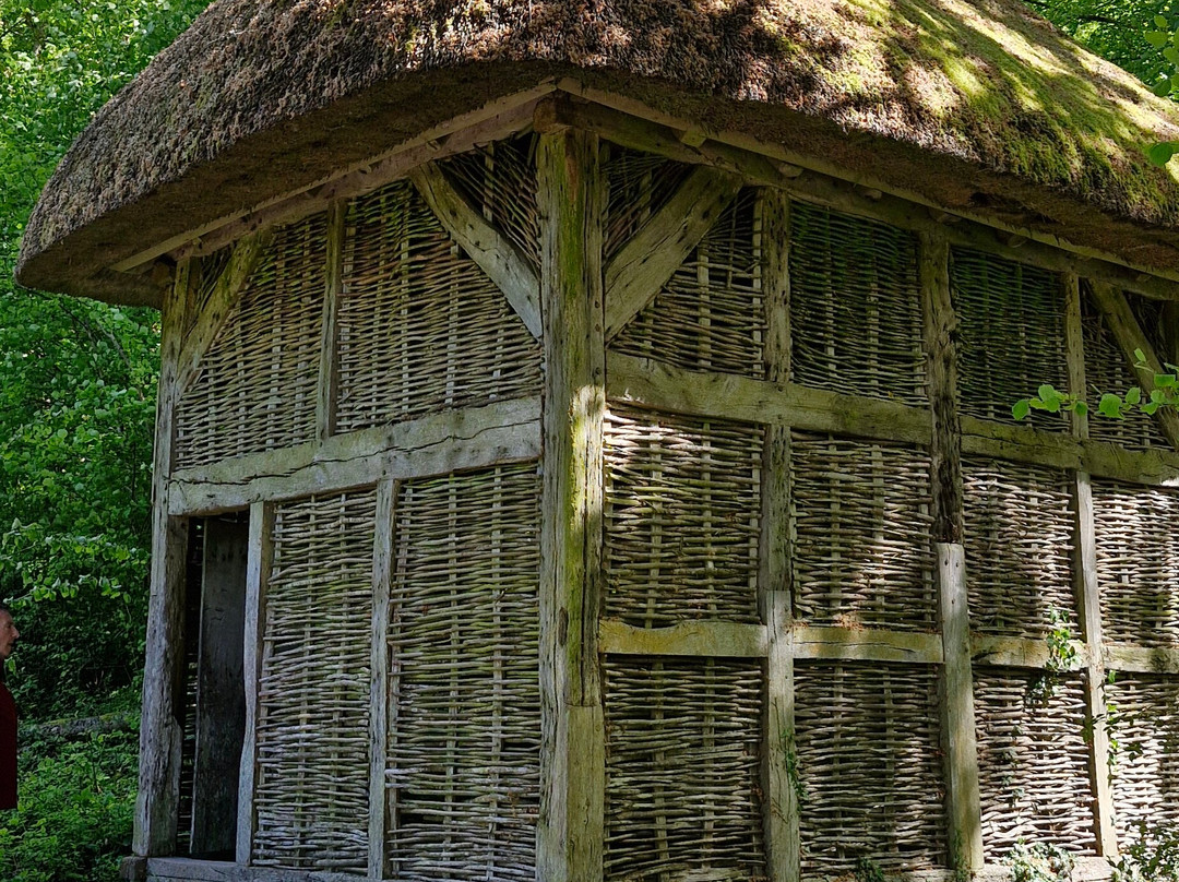 Weald & Downland Living Museum-Singleton必去景点