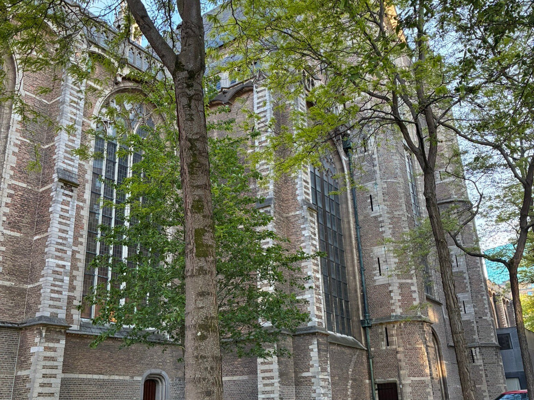Grote of Sint-Laurenskerk-鹿特丹必去景点