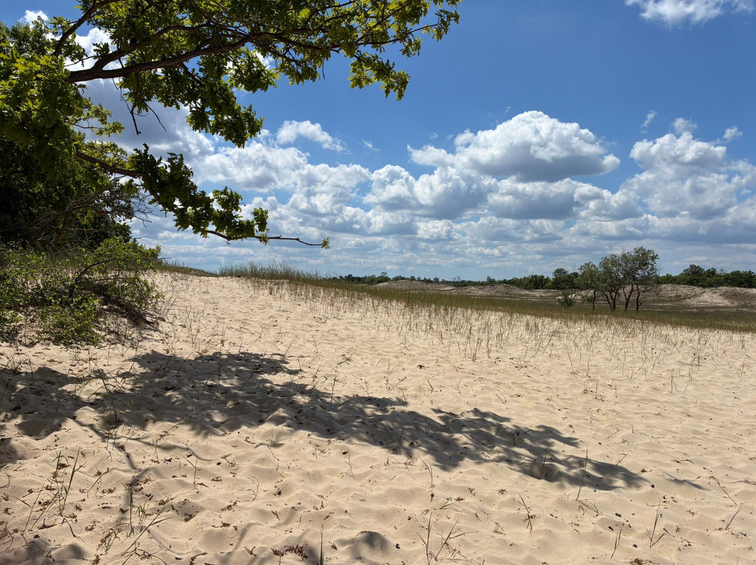 Danube Delta Guides And Birdwatching-Crisan必去景点