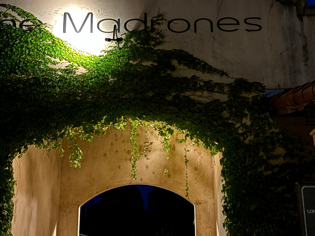 The Madrones主图