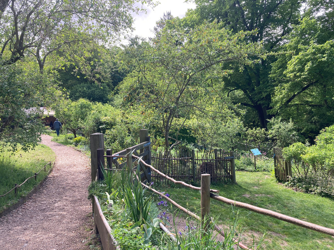 Natural Surroundings-Holt必去景点