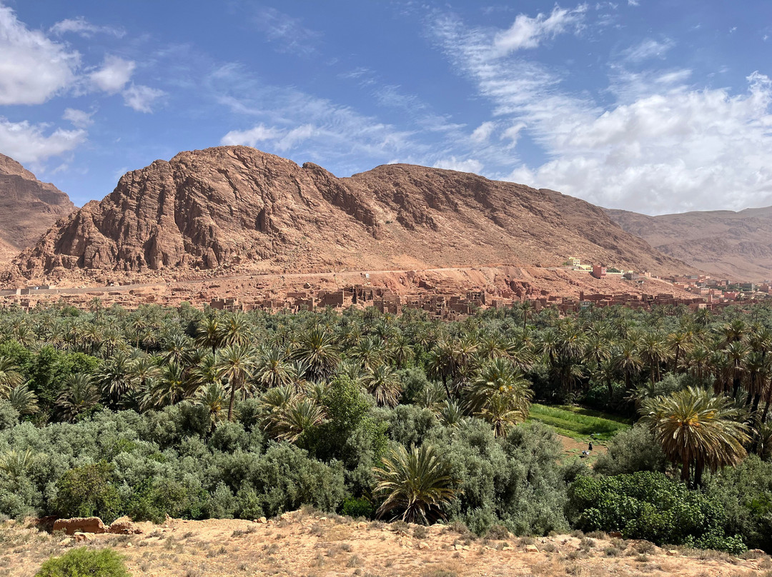 Make Morocco Tours-丹吉尔必去景点