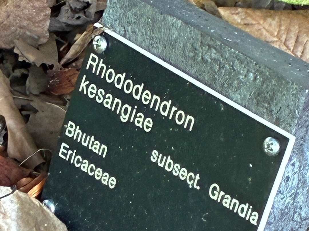 Belmonte Arboretum Wageningen-瓦赫宁恩必去景点