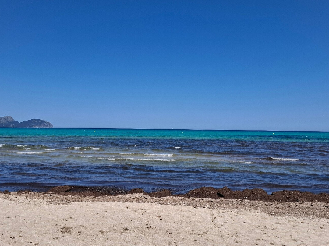 Playa de Ca'n Picafort-Ca'n Picafort必去景点