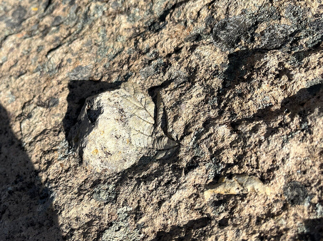 John Day Fossil Beds National Monument-John Day必去景点