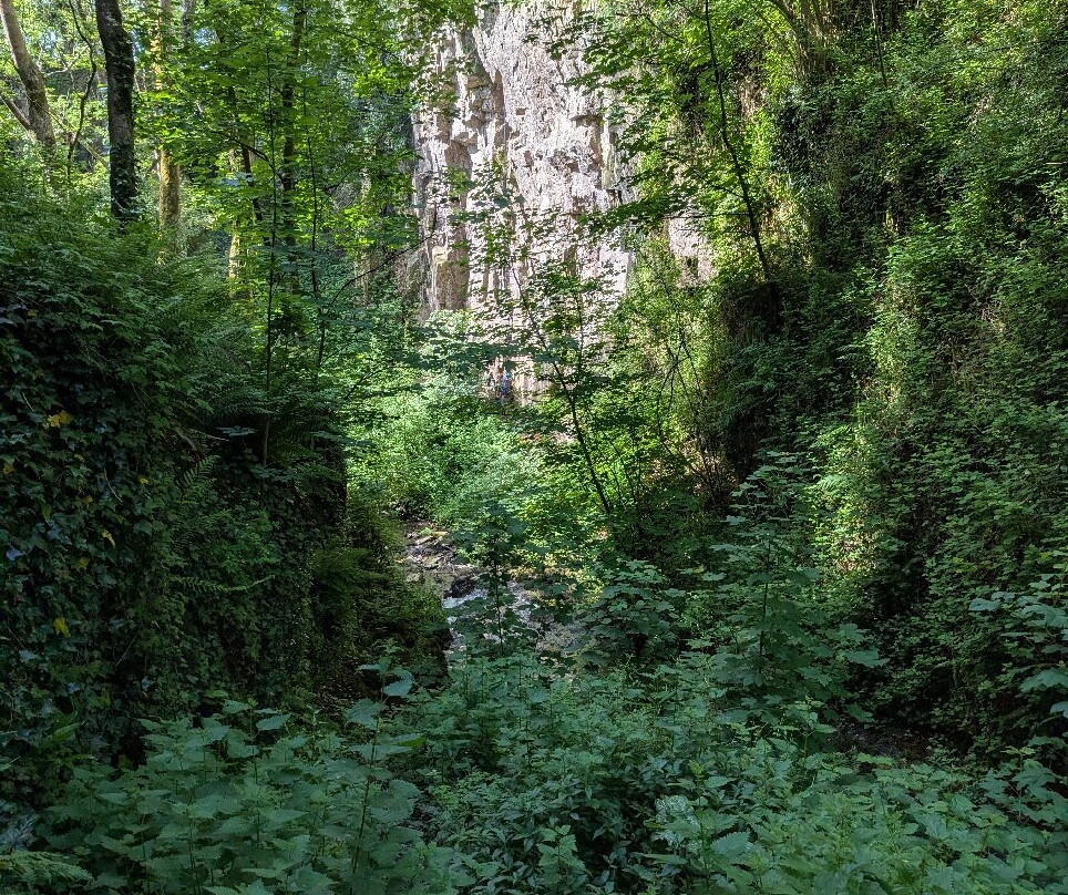 Petite Cascade de Mortain-Mortain必去景点