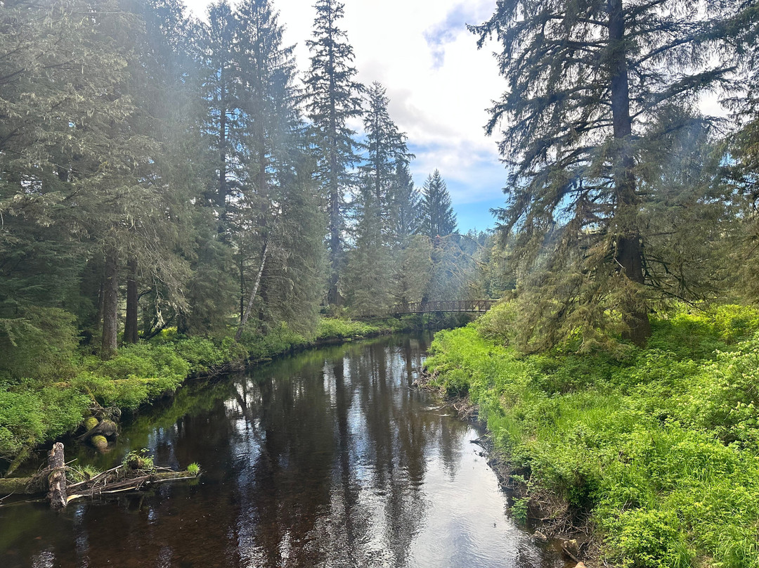 Tongass National Forest-凯奇坎必去景点